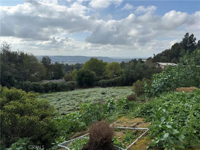 707 Dorothea, La Habra Heights, CA 90631