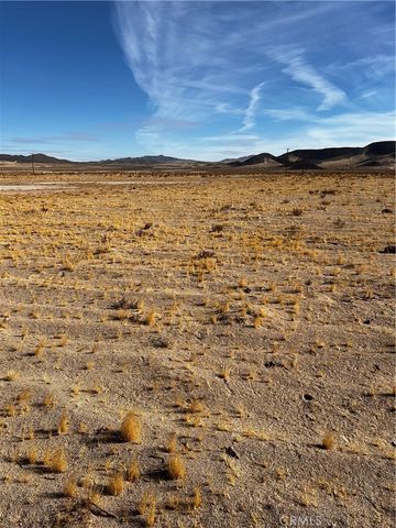 49652 Silver Valley Road, Newberry Springs, CA 92365
