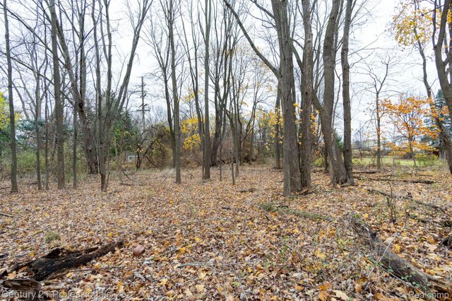 LOT 3 W WALTON, Waterford Charter Township, MI 48329