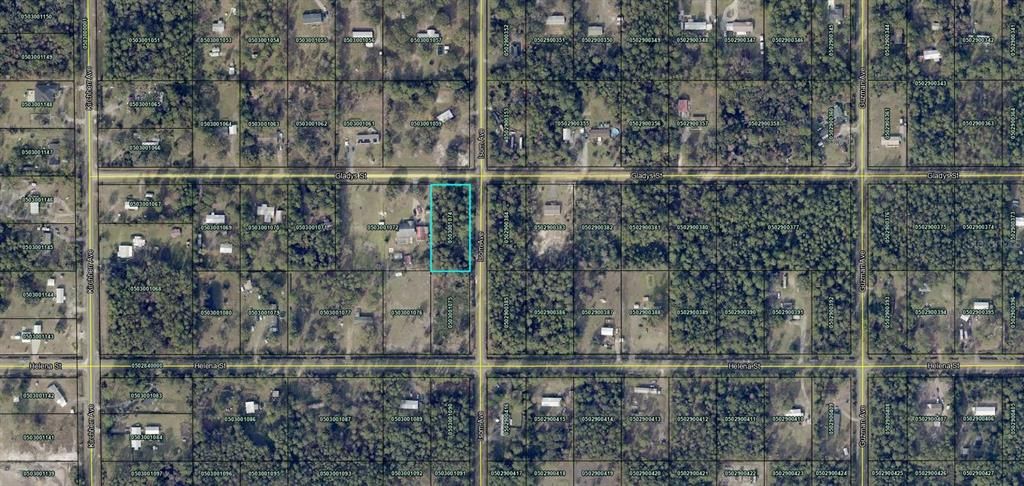 4405 GLADYS ST, Hastings, FL 32145