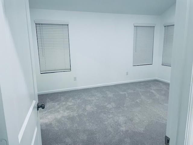 20909 Cropani Shadow Dr Drive, New Caney, TX 77357