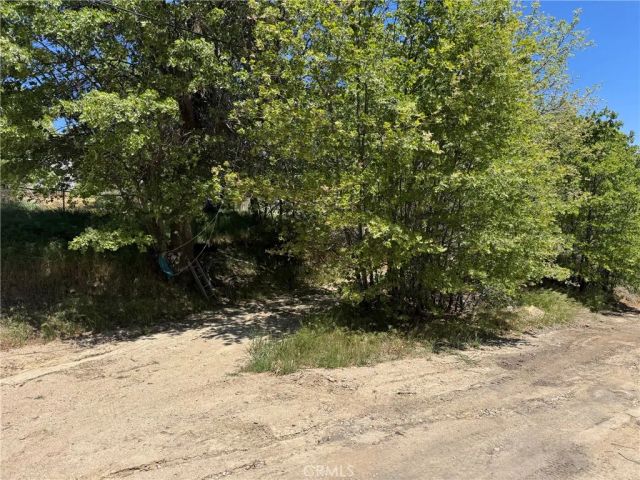 0 Hickory, Cedar Glen, CA 92321