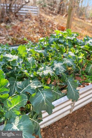 4119 BULL RUN MOUNTAIN RD, The Plains, VA 20198