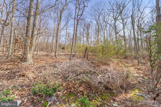 4119 BULL RUN MOUNTAIN RD, The Plains, VA 20198