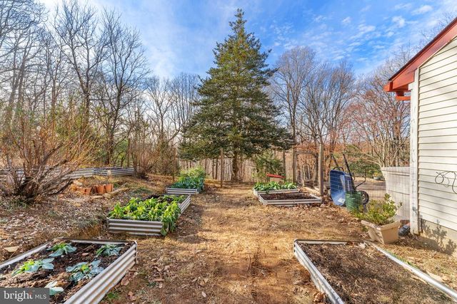 4119 BULL RUN MOUNTAIN RD, The Plains, VA 20198