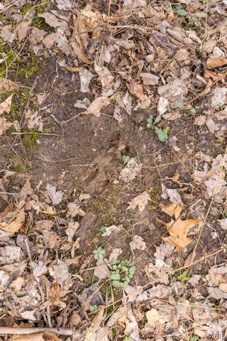 9075 32 Highway, Ste Genevieve, MO 63670