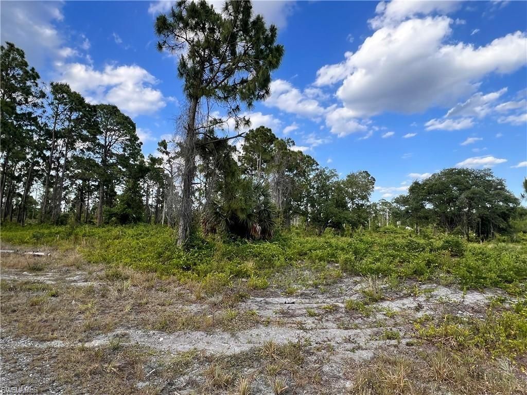 763 Worth AVE S, LEHIGH ACRES, FL 33974 — exterior