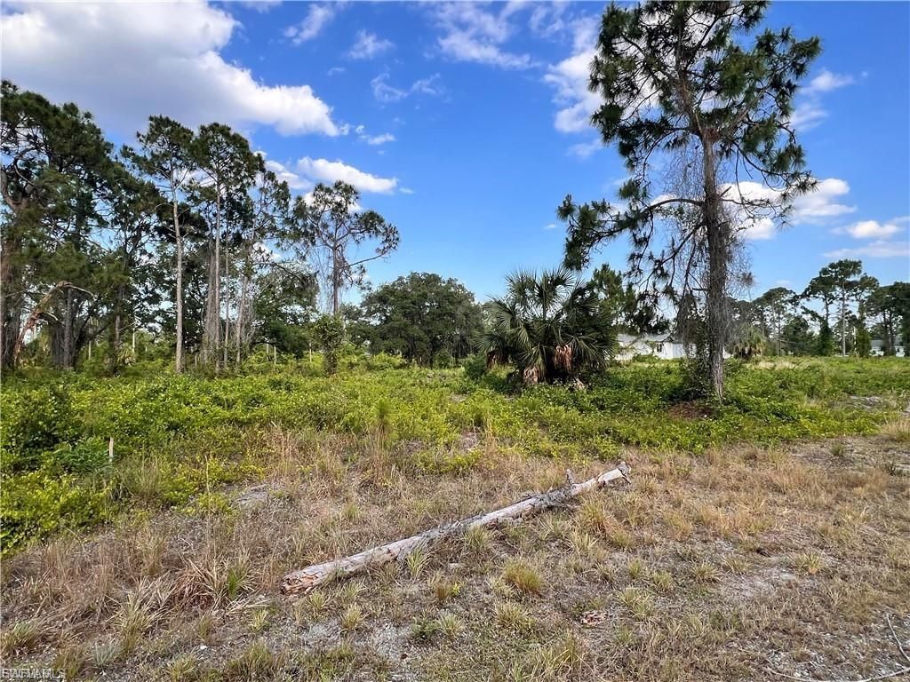 763 Worth AVE S, LEHIGH ACRES, FL 33974 — photo 2