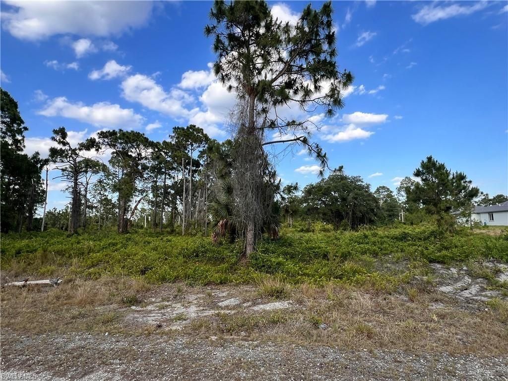 763 Worth AVE S, LEHIGH ACRES, FL 33974 — photo 3