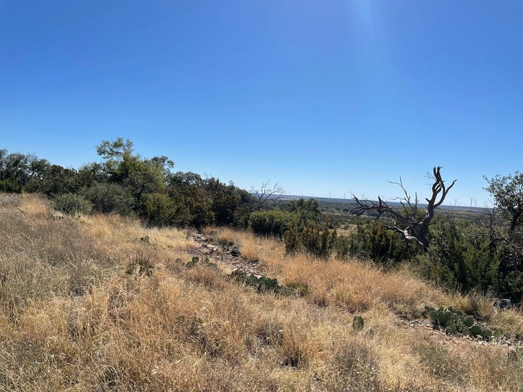 Image 19 of property listing at 0000 Allen Road, Christoval, TX 76935