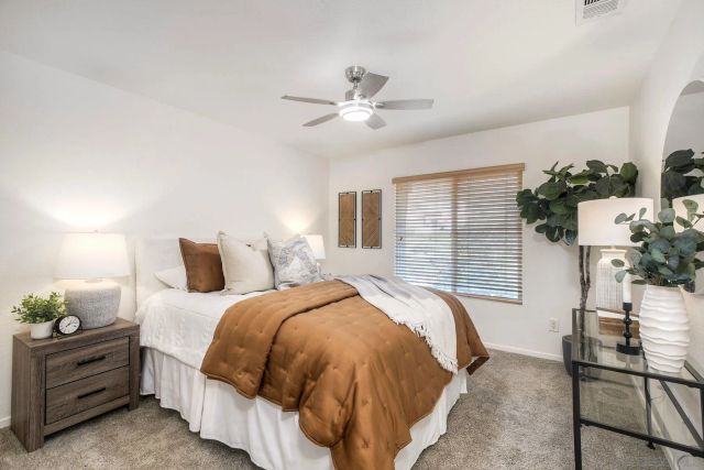 598 Almond Rd, San Marcos, CA 92078