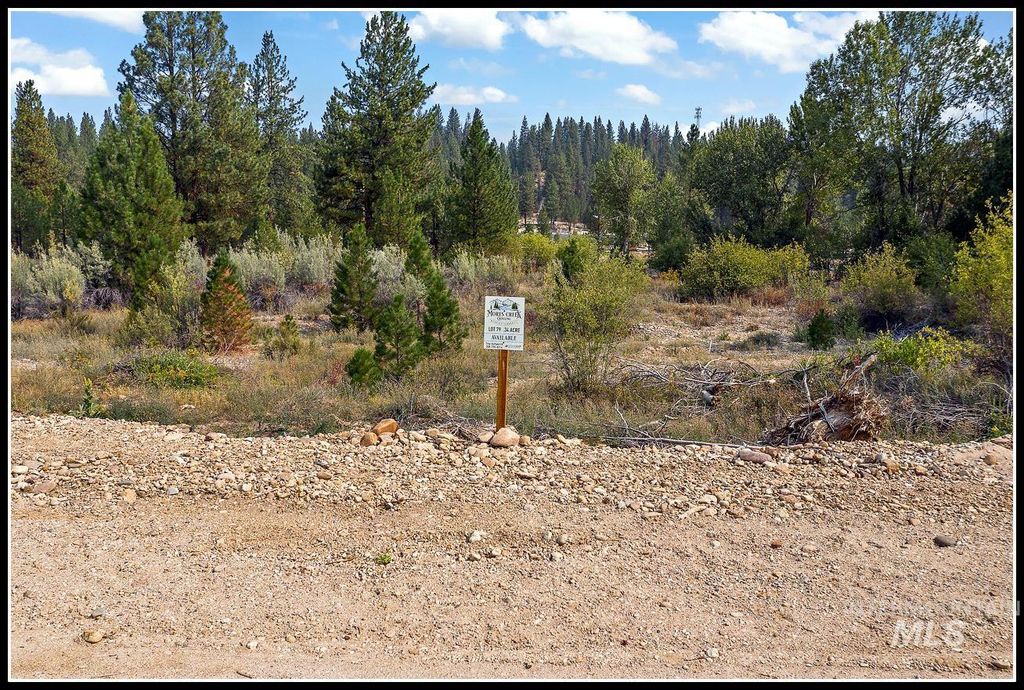 Lot 79 Lainey Lane, Idaho City, ID 83631