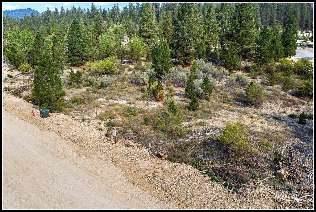 Lot 79 Lainey Lane, Idaho City, ID 83631 photo 2