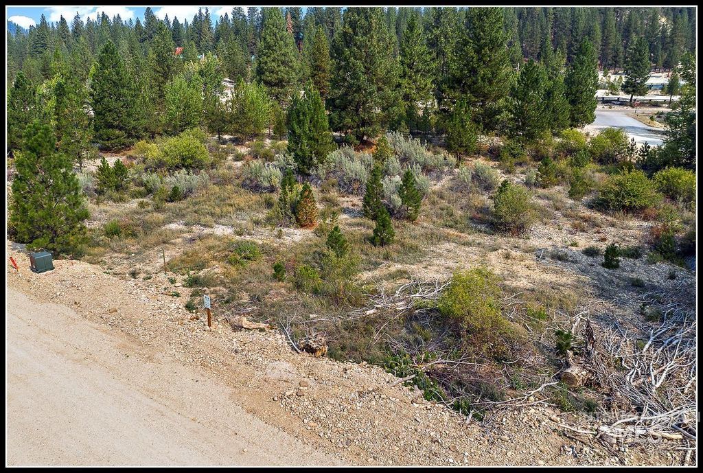 Lot 79 Lainey Lane, Idaho City, ID 83631 photo 3