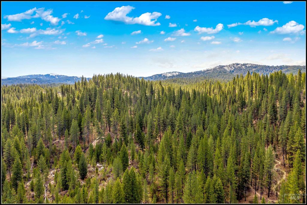 Lot 79 Lainey Lane, Idaho City, ID 83631 photo 9