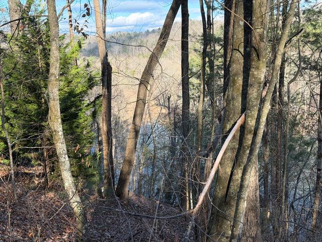 L81 Lillie Drive, Ellijay, GA 30540