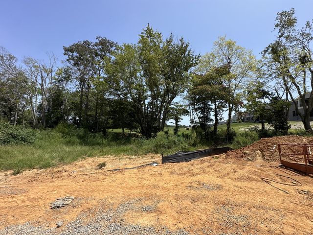 7290 Woodruff Dr, Fairview, TN 37062