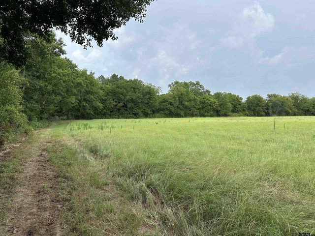 3697 An County Road 309 Tract 2 B North Tract, Frankston, TX 75763