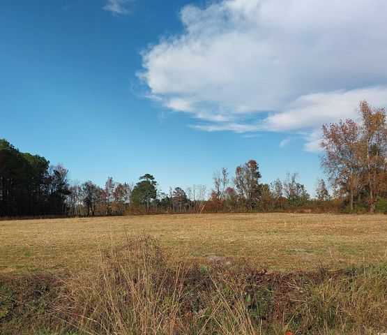 lot 1 Davis Lane, Mullins, SC 29574