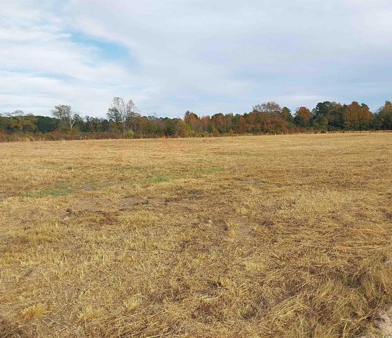lot 1 Davis Lane, Mullins, SC 29574