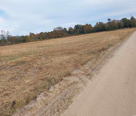 lot 1 Davis Lane, Mullins, SC 29574