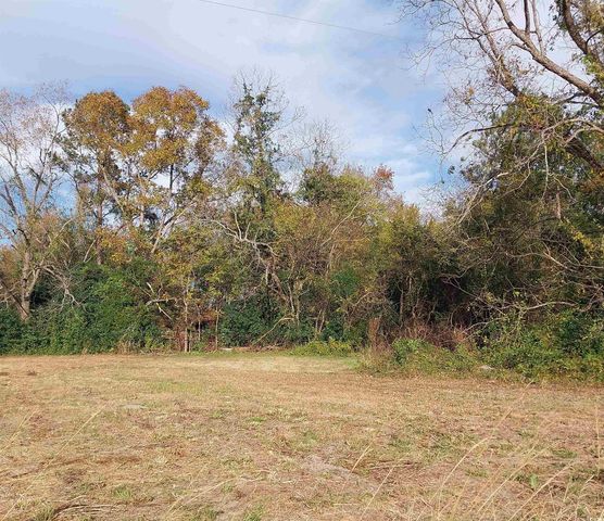 lot 1 Davis Lane, Mullins, SC 29574