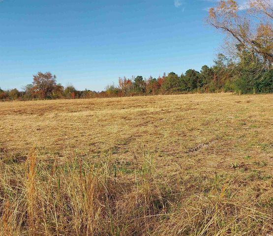 lot 1 Davis Lane, Mullins, SC 29574