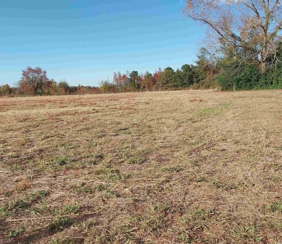 lot 1 Davis Lane, Mullins, SC 29574