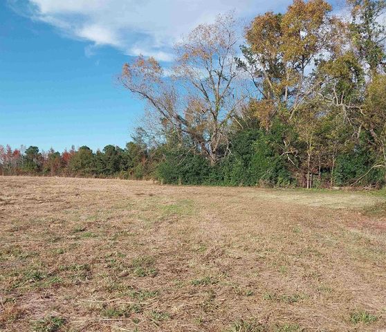 lot 1 Davis Lane, Mullins, SC 29574