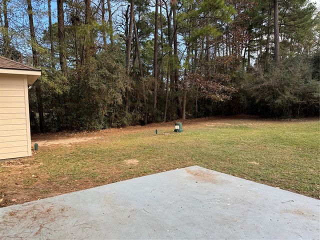 30110 Bramblevine Drive, Magnolia, TX 77355