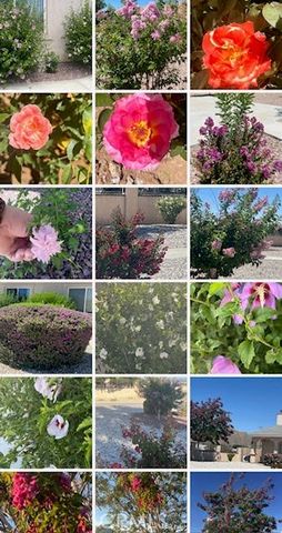 15542 Kiamichi, Apple Valley, CA 92307