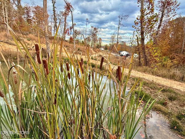 1576 Old Chisholm Tr, Dandridge, TN 37725