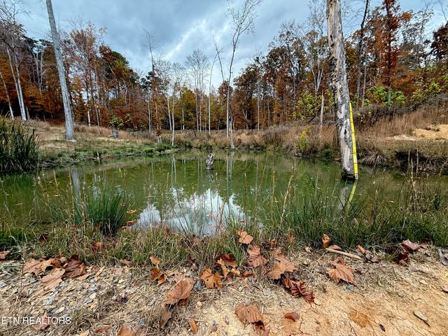 1576 Old Chisholm Tr, Dandridge, TN 37725