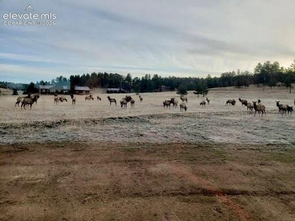 350 High Pasture Road, Florissant, CO 80816 — exterior