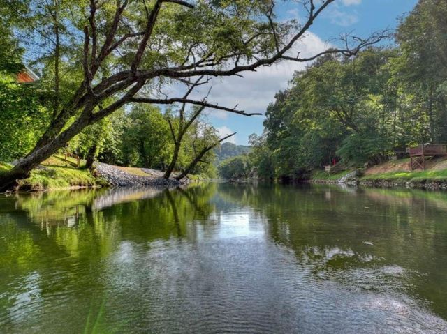 60 Hiles Hatch Lane, Blue Ridge, GA 30513
