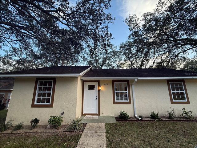 40233 PALM STREET, Lady Lake, FL 32159