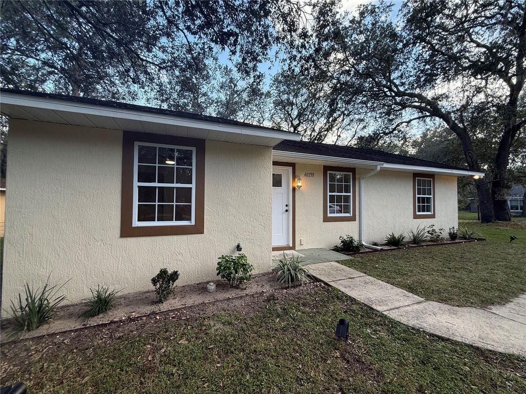 40233 PALM STREET, Lady Lake, FL 32159