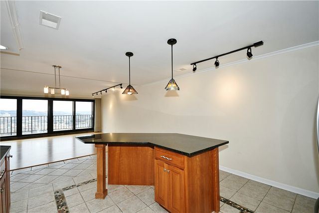 1000 Grandview Avenue 401, Mt Washington, PA 15211