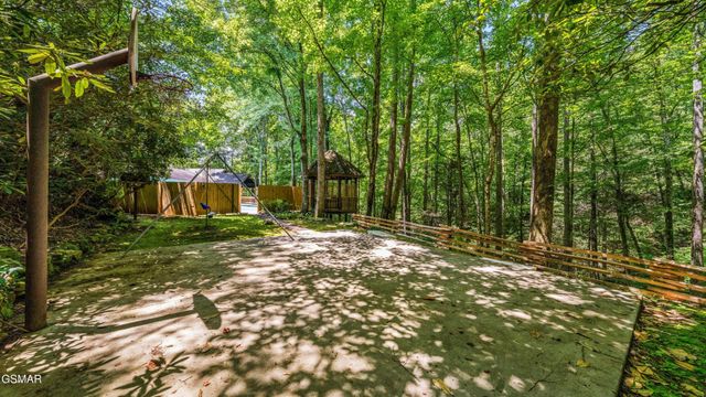 1115 Old Cartertown Road, Gatlinburg, TN 37738