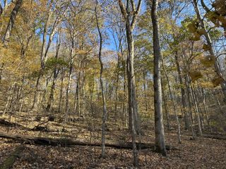 0 Lake View Drive, Smithville, TN 37166