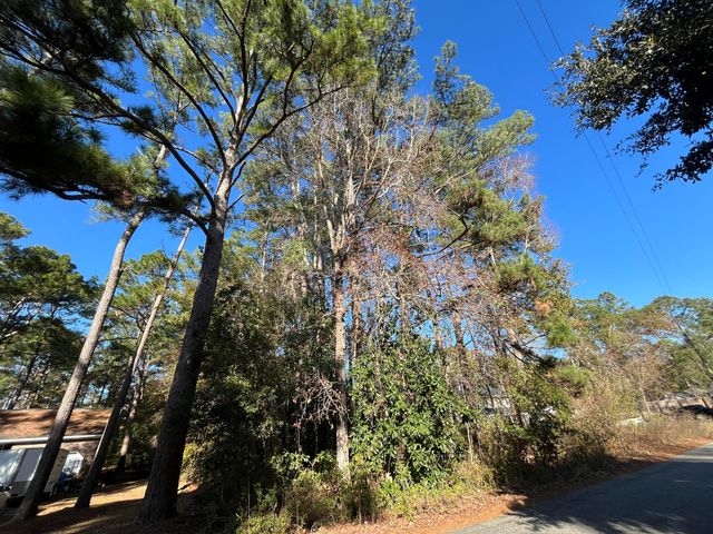 228 Wilson Drive, Summerville, SC 29483