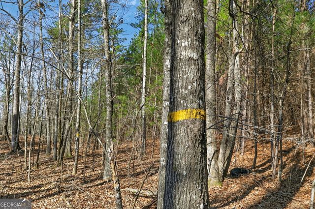 5010 US Highway 27, Franklin, GA 30217