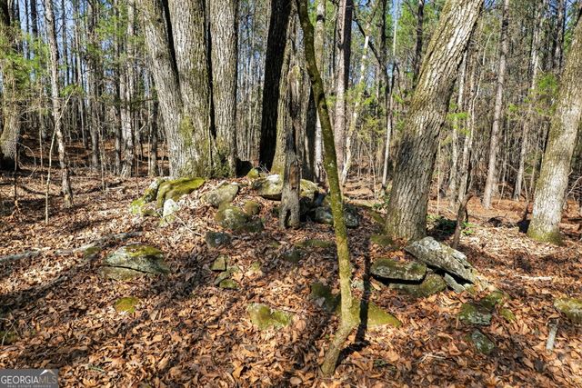 5010 US Highway 27, Franklin, GA 30217