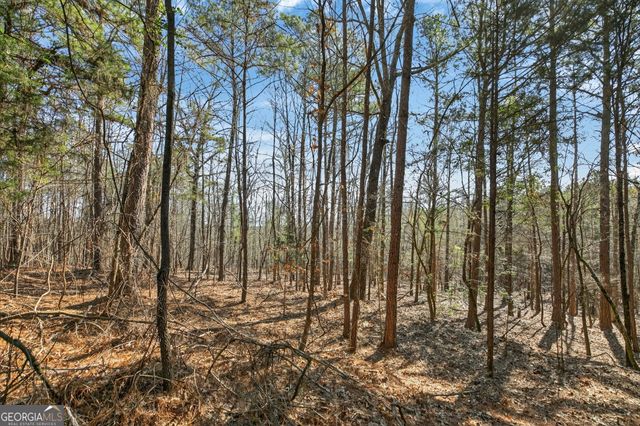 5010 US Highway 27, Franklin, GA 30217