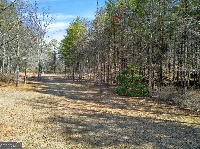 5010 US Highway 27, Franklin, GA 30217