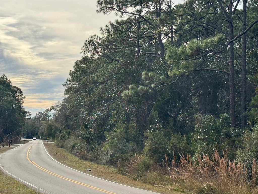 XX Ryan Drive, Carrabelle, FL 32322
