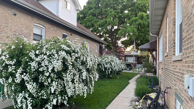 4025 N Menard Avenue, Chicago, IL 60634