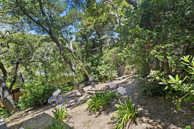 35 Tulip Court, Burlingame, CA 94010