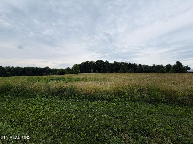 98 Tyler Tr, Jamestown, TN 38556
