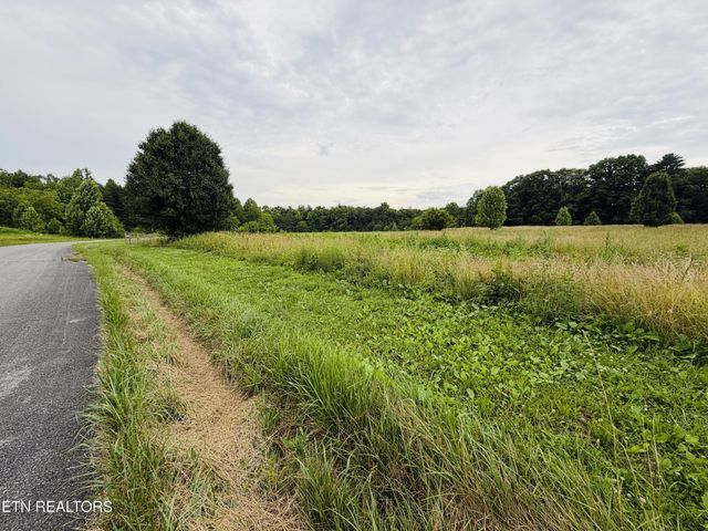 98 Tyler Tr, Jamestown, TN 38556
